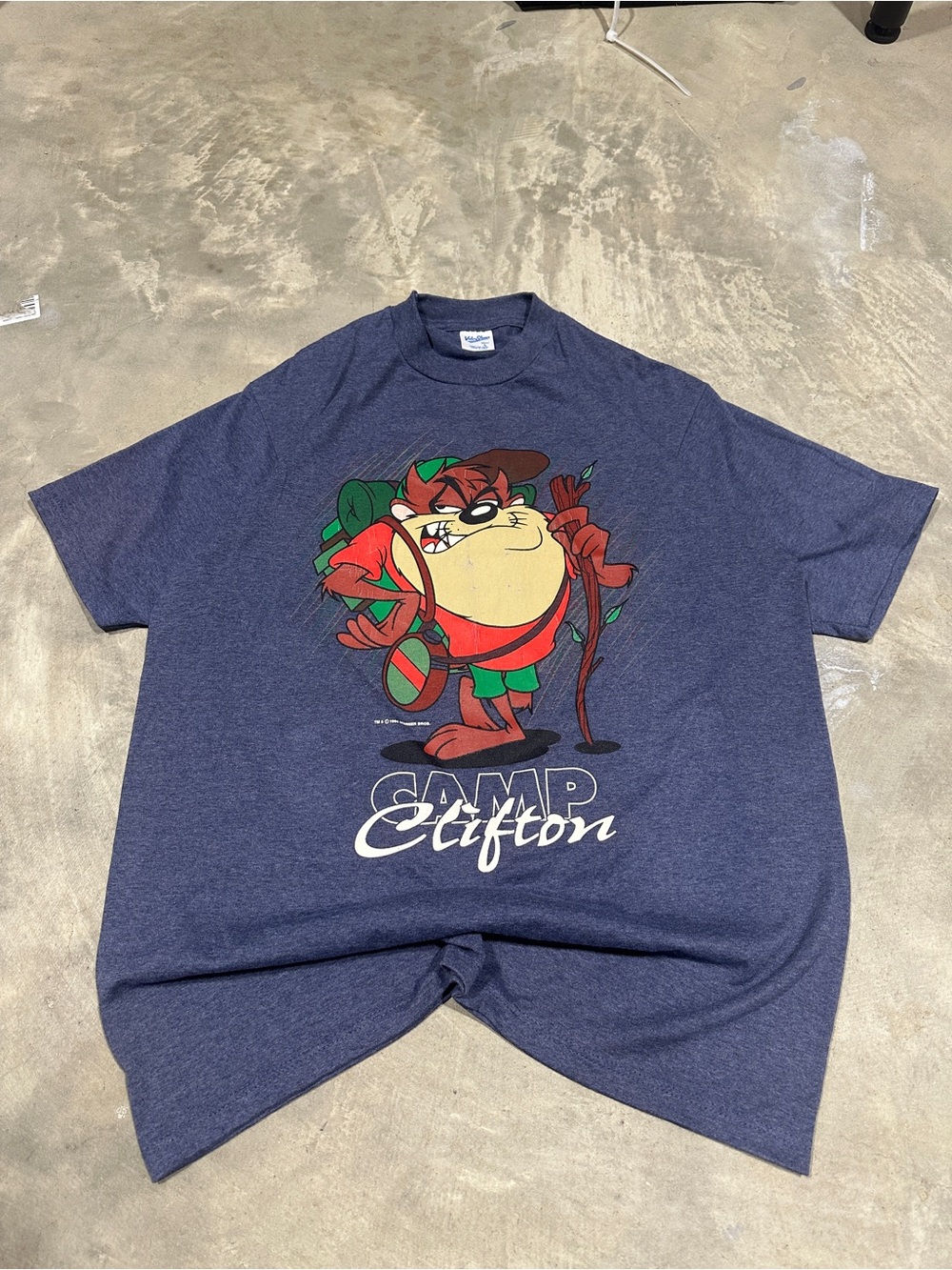 VTG Grail 1994 Velva Sheen Taz Camp Clifton Shirt L Looney Tunes Graphic Tee 90s